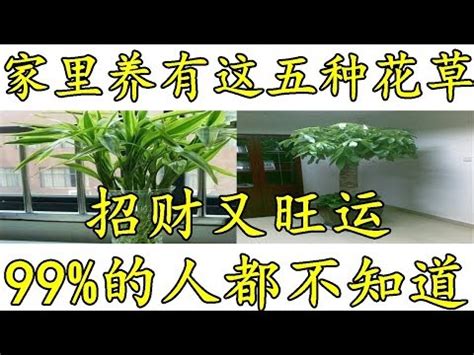 紅竹風水|紅竹風水佈局：這樣擺財運翻倍